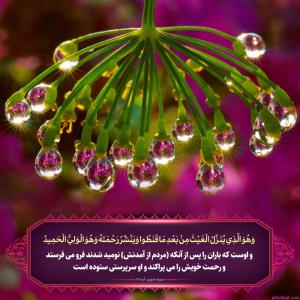 آیه قرآن :باران پس از نومیدی
